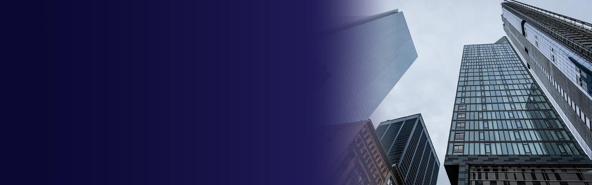 IBSFINtech USA Leadership Team