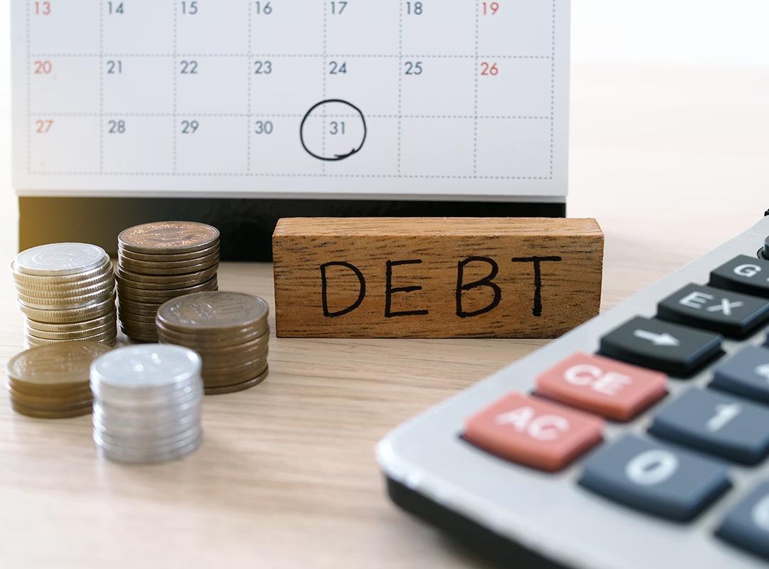 Debt Management System