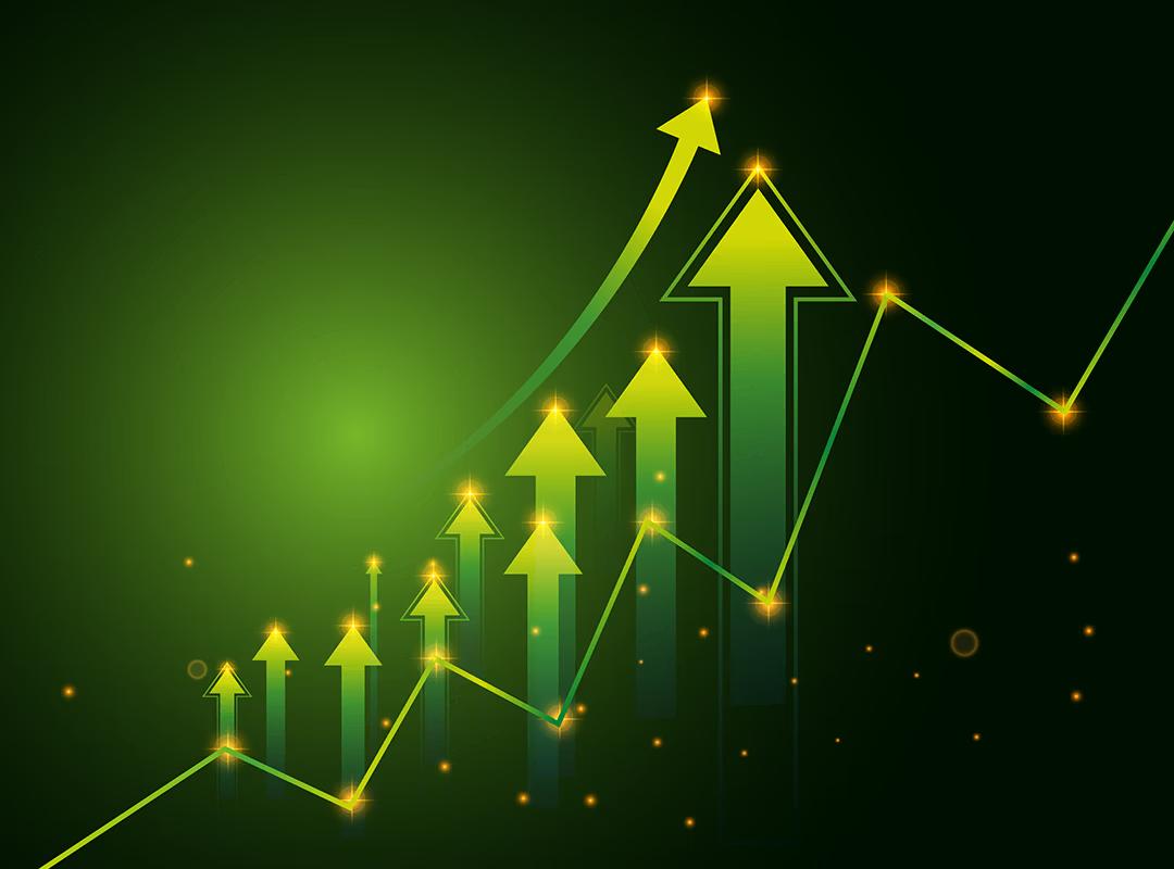 Investment Management Interface